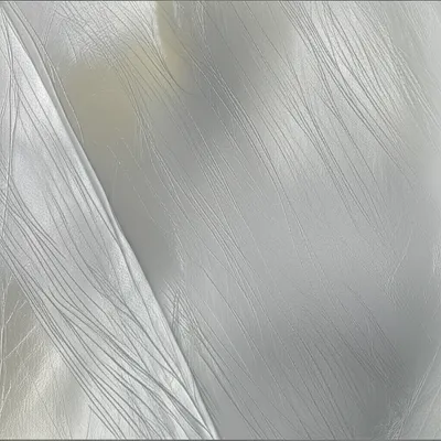 Illustration webs - Image 1