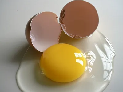 Illustration subdivisions - Image 1