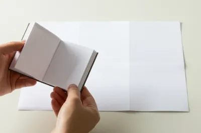 Illustration duodecimo