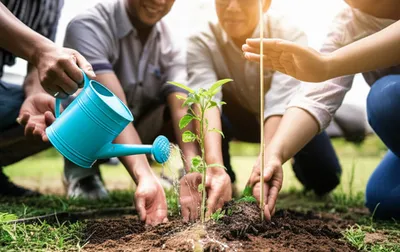 Illustration treating - Image 1