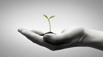 Illustration minimizes