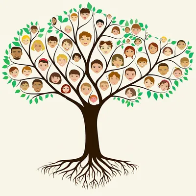 Illustration heredity