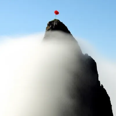 Illustration atop - Image 1