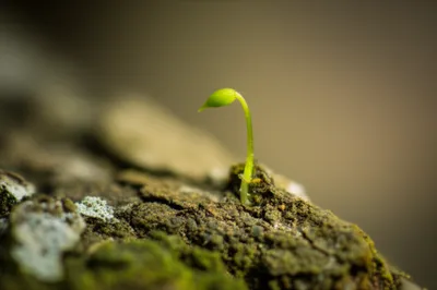 Illustration ft - Image 1