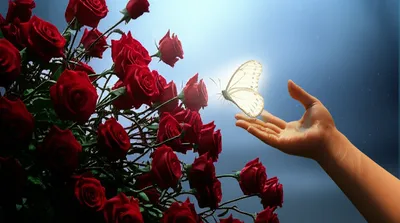 Illustration closer - Image 1