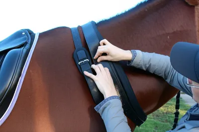 Illustration rigs - Image 1