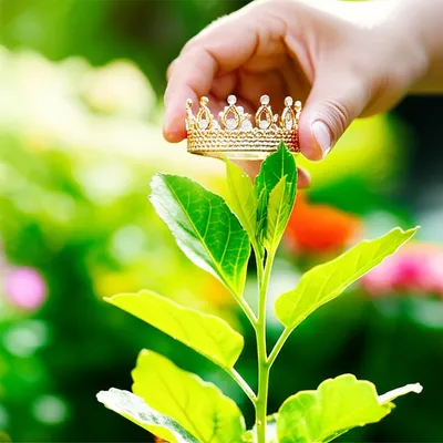 Illustration makes - Image 1