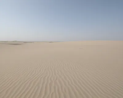 Illustration zip - Image 1