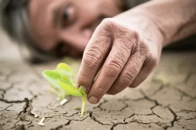 Illustration hoe - Image 1