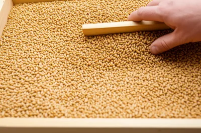 Illustration strikes - Image 1