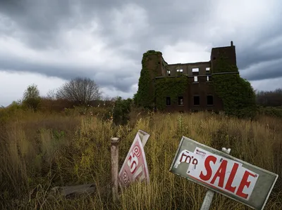 Illustration escheat - Image 1