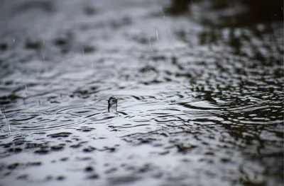 Illustration puddles - Image 1