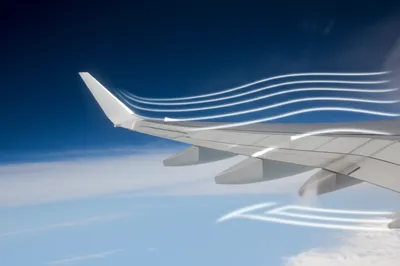 Illustration foil - Image 1