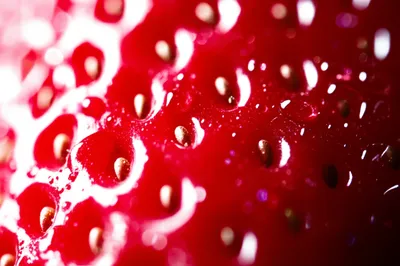 Illustration exudes - Image 1