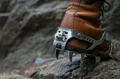 Illustration creepers - Image 1