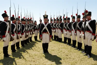 Illustration pivots - Image 1