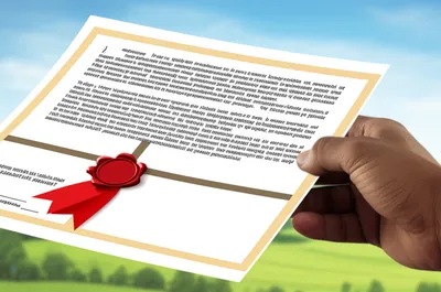 Illustration own - Image 1