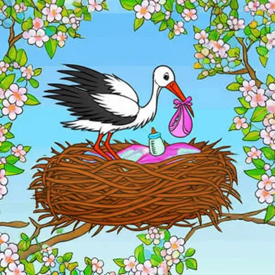 Illustration bagged - Image 1