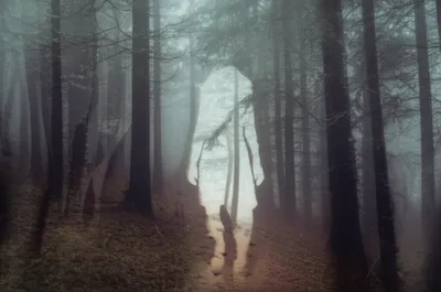 Illustration skips - Image 1