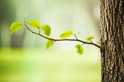 Illustration father - Image 1