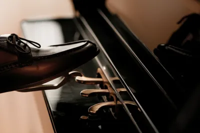 Illustration sustains