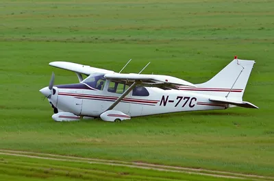 Illustration pancake - Image 1