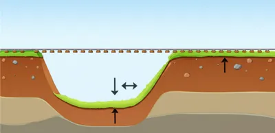 Illustration profile - Image 1