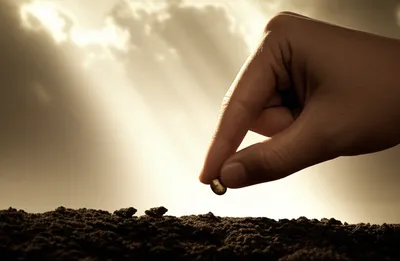 Illustration initiated - Image 1