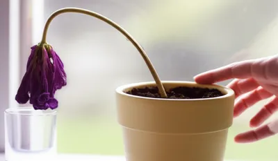 Illustration declining - Image 1