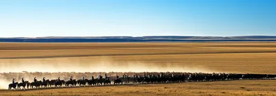 Illustration musters - Image 1