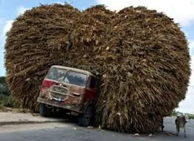 Illustration greatly - Image 2