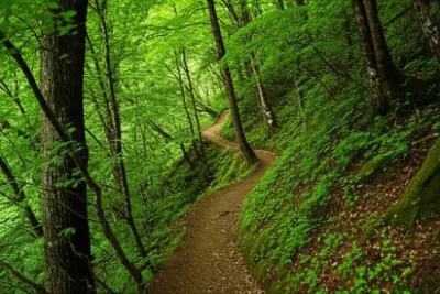 Illustration indented - Image 1