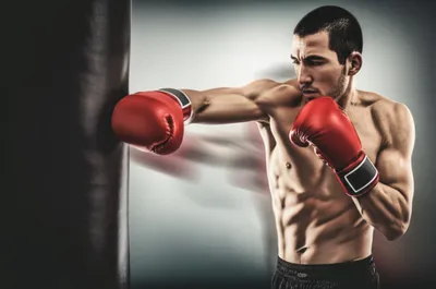 Illustration combinations - Image 1