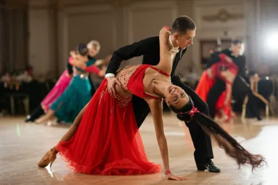 Illustration dip - Image 1