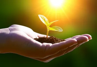 Illustration entitled - Image 1