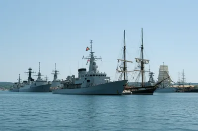 Illustration commodore - Image 1