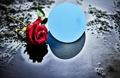 Illustration bites - Image 1