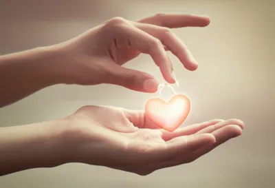 Illustration took - Image 1