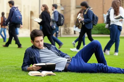 Hình ảnh minh họa poll - Ảnh 1