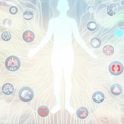 Illustration eliminations - Image 1