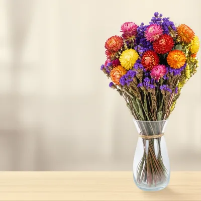 Illustration immortelle - Image 1