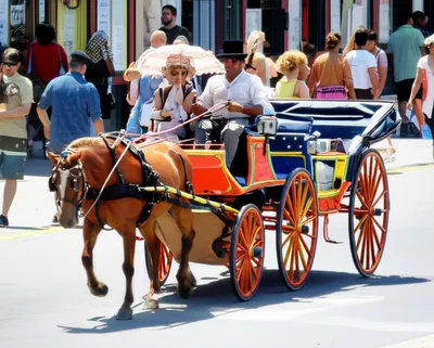 Illustration cabs - Image 1