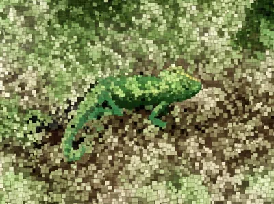 Illustration concealment - Image 1