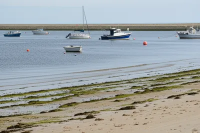 Illustration tide - Image 1