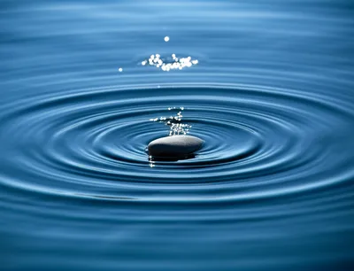 Illustration skite - Image 1