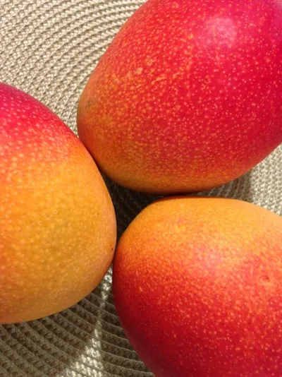 Illustration mangos - Image 2