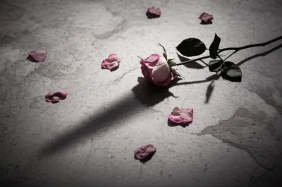 Illustration rejections - Image 1