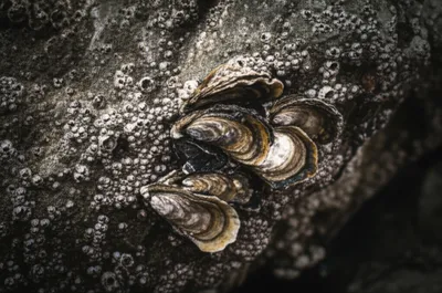 Illustration stricken - Image 1