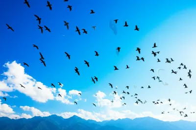 Illustration headed - Image 1