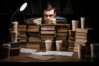 Illustration dig - Image 1